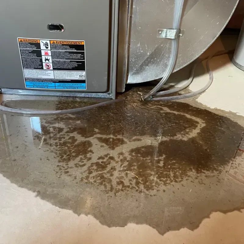 Appliance Leak Cleanup in Alleghany County, NC